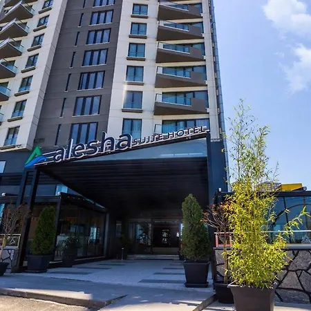 Alesha Hotel