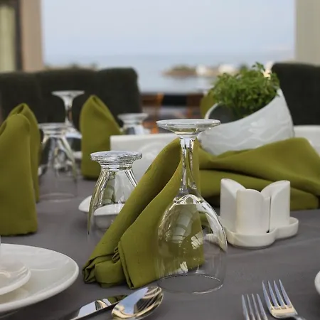 Hotel Alesha