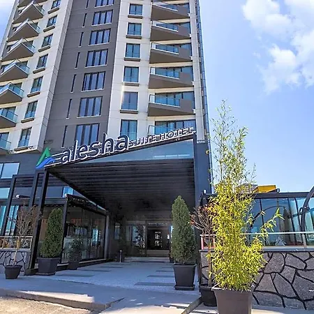 Alesha Hotel 3*