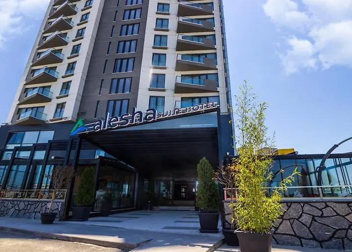 Alesha Hotel