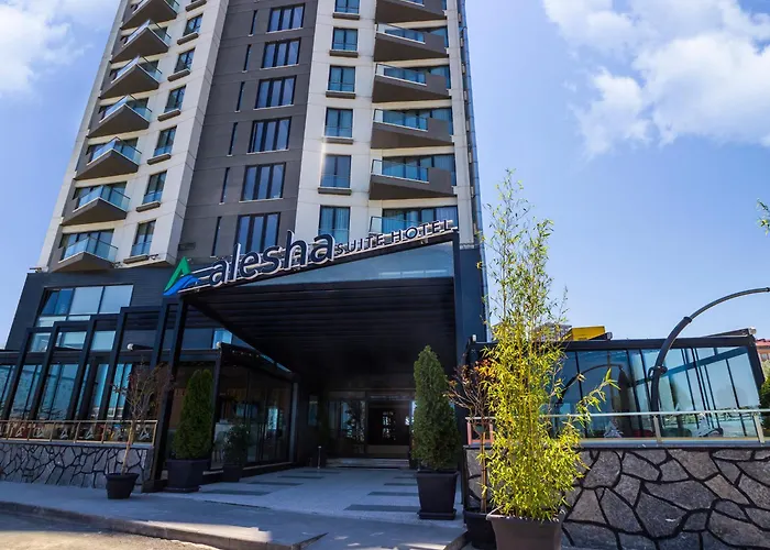Alesha Hotel